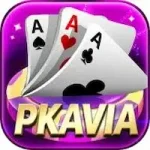 PKAVIA Game