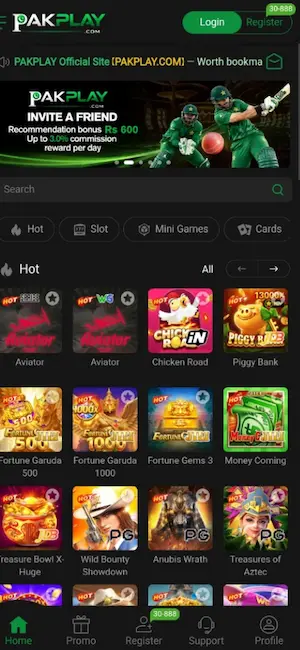 Pakplay Game