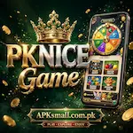 PKNICE Game